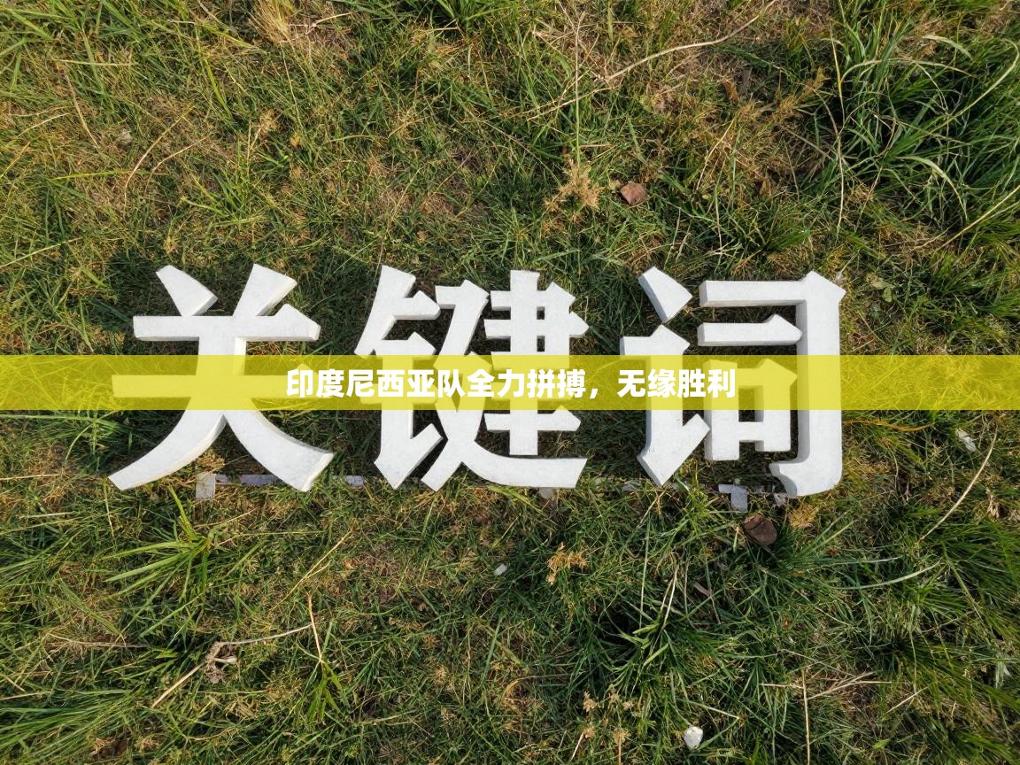 爱游戏体育下载-印度尼西亚队全力拼搏，无缘胜利  第2张