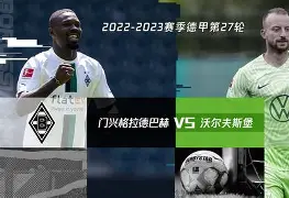 爱游戏体育入口-沃尔夫斯堡实现四连胜，步步为营的简单介绍
